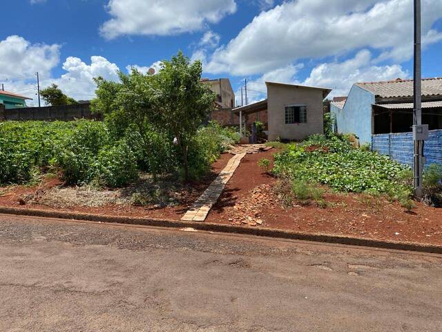 #52 - Área para Venda em Jardim Alegre - PR - 1