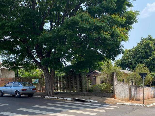 #77 - Área para Venda em Jardim Alegre - PR - 1