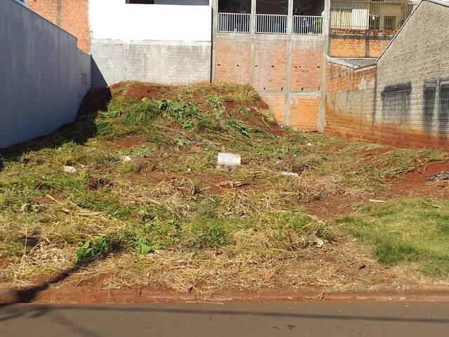 #79 - Área para Venda em Jardim Alegre - PR - 1