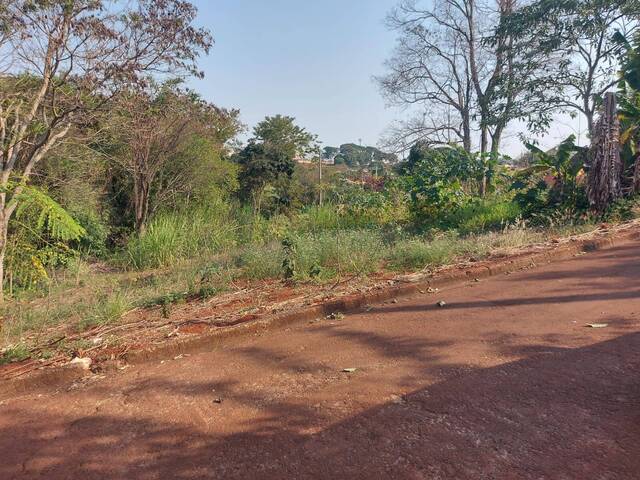 #83 - Área para Venda em Jardim Alegre - PR - 1