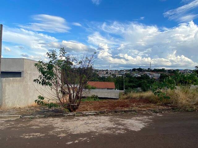 #89 - Área para Venda em Jardim Alegre - PR - 1